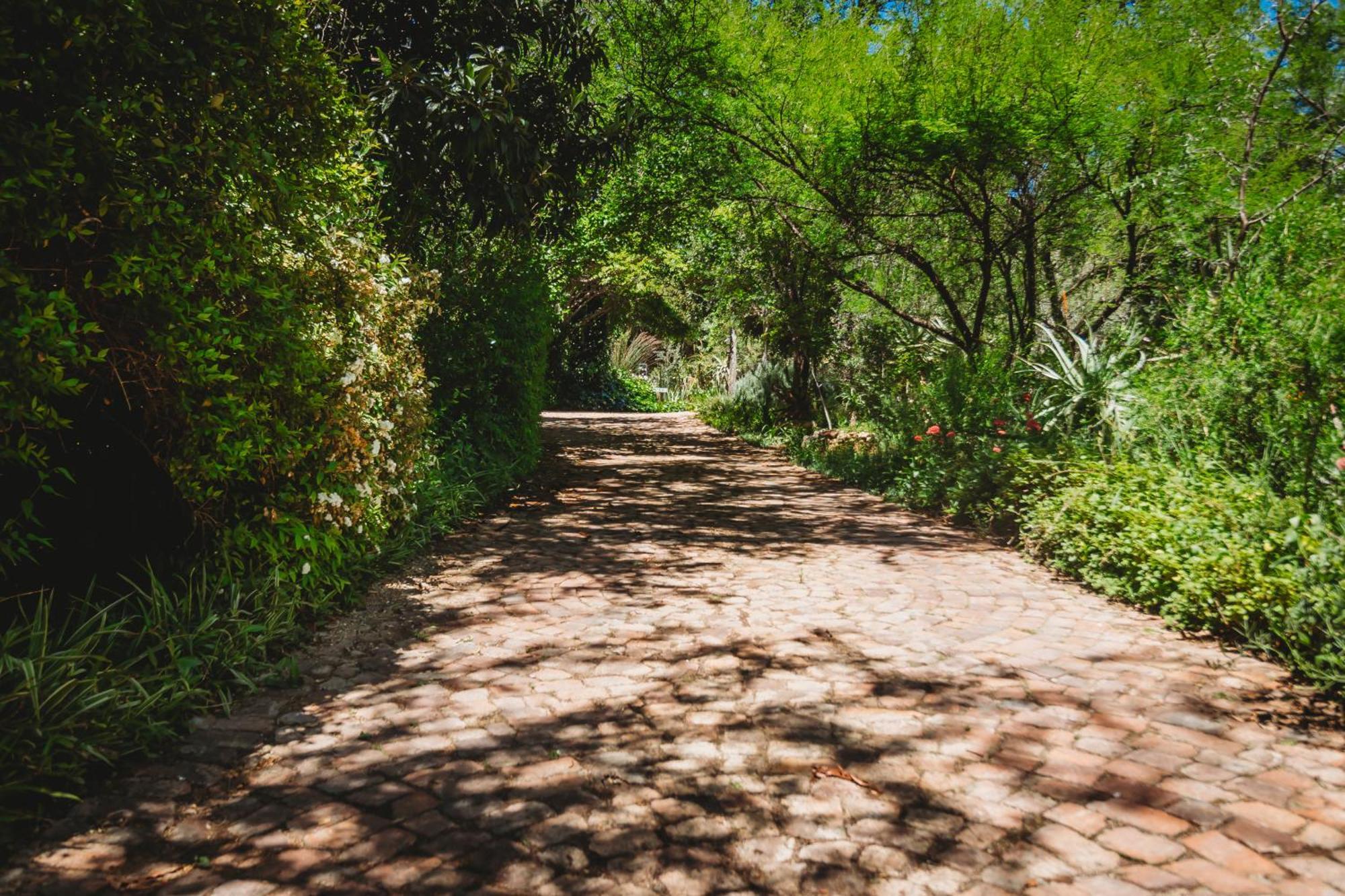 De Poort Country Lodge Oudtshoorn Dış mekan fotoğraf