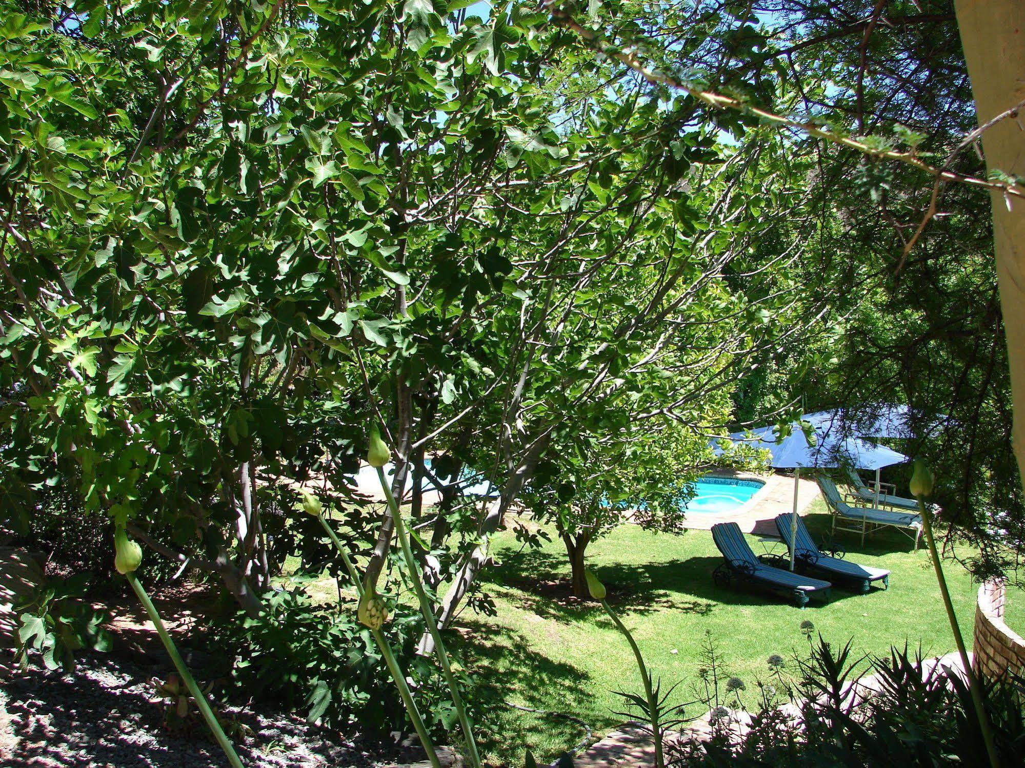 De Poort Country Lodge Oudtshoorn Dış mekan fotoğraf