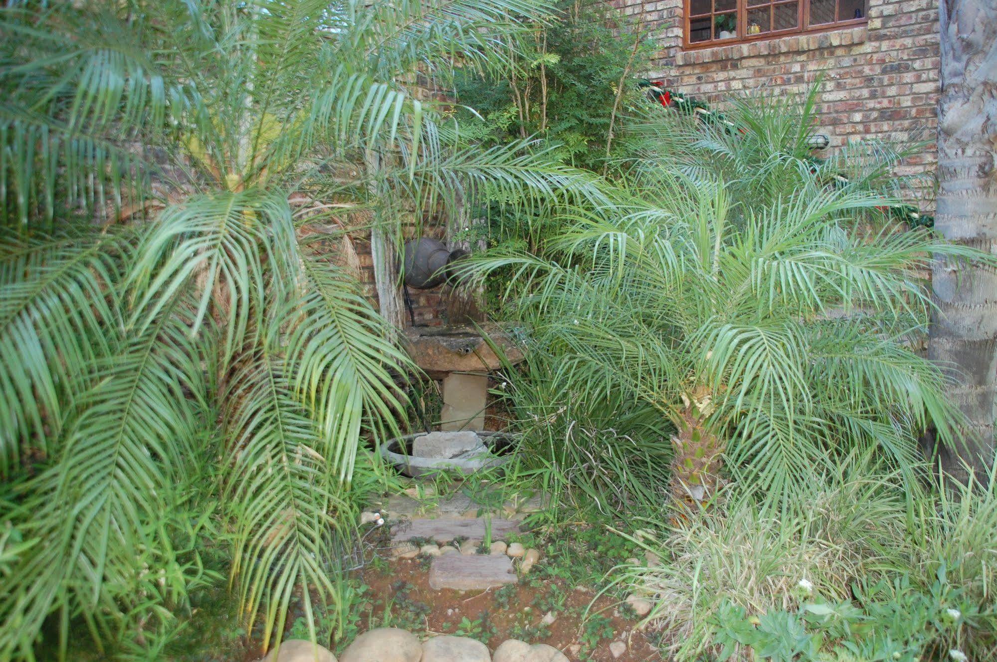 De Poort Country Lodge Oudtshoorn Dış mekan fotoğraf