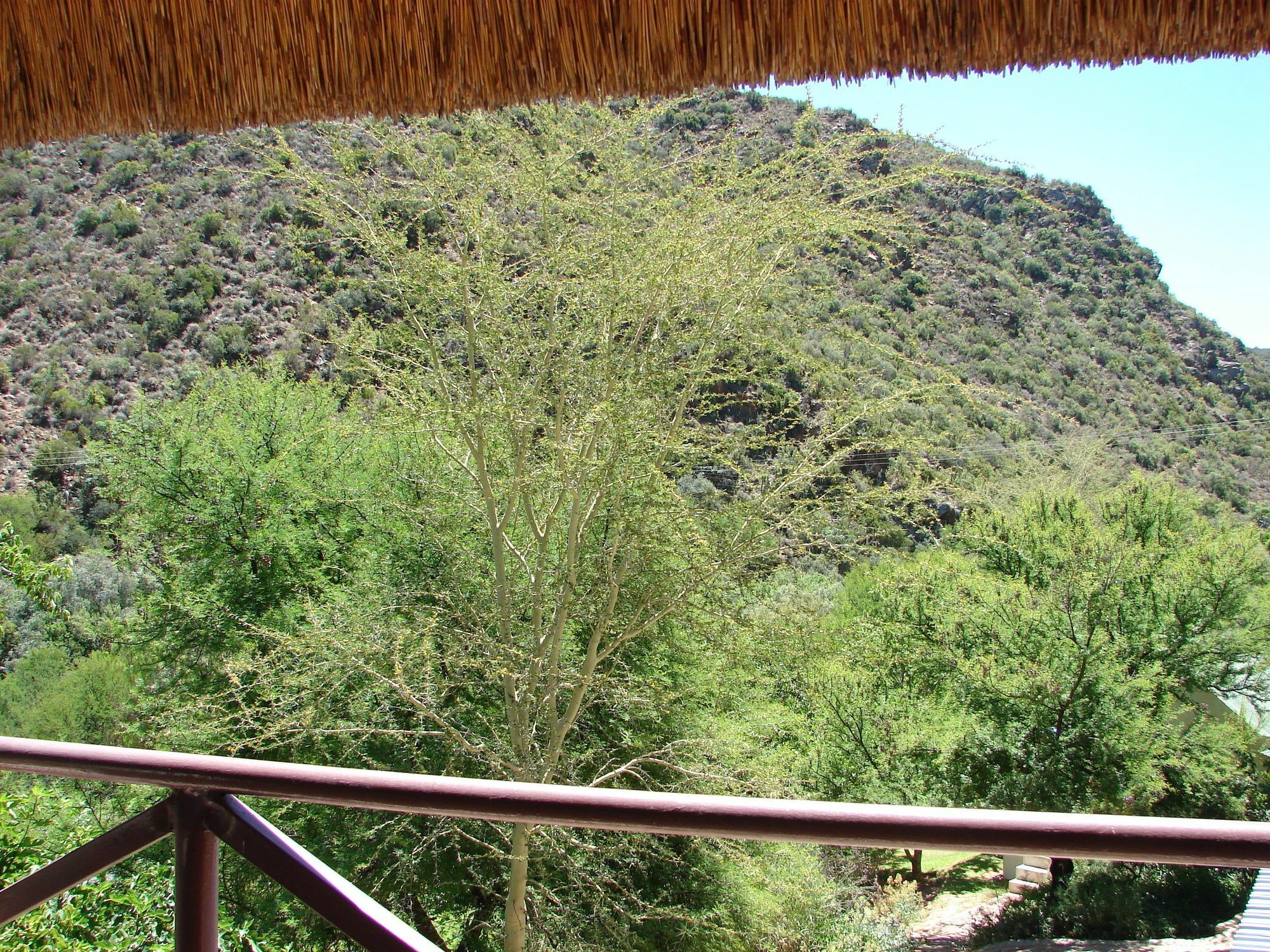 De Poort Country Lodge Oudtshoorn Dış mekan fotoğraf