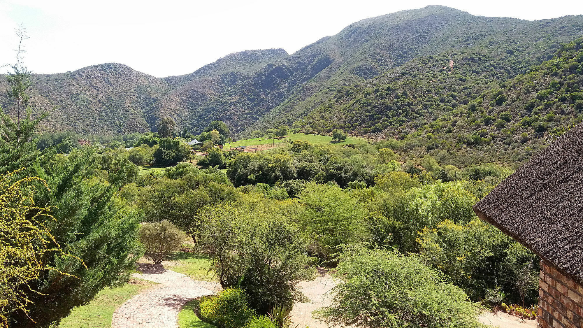 De Poort Country Lodge Oudtshoorn Dış mekan fotoğraf